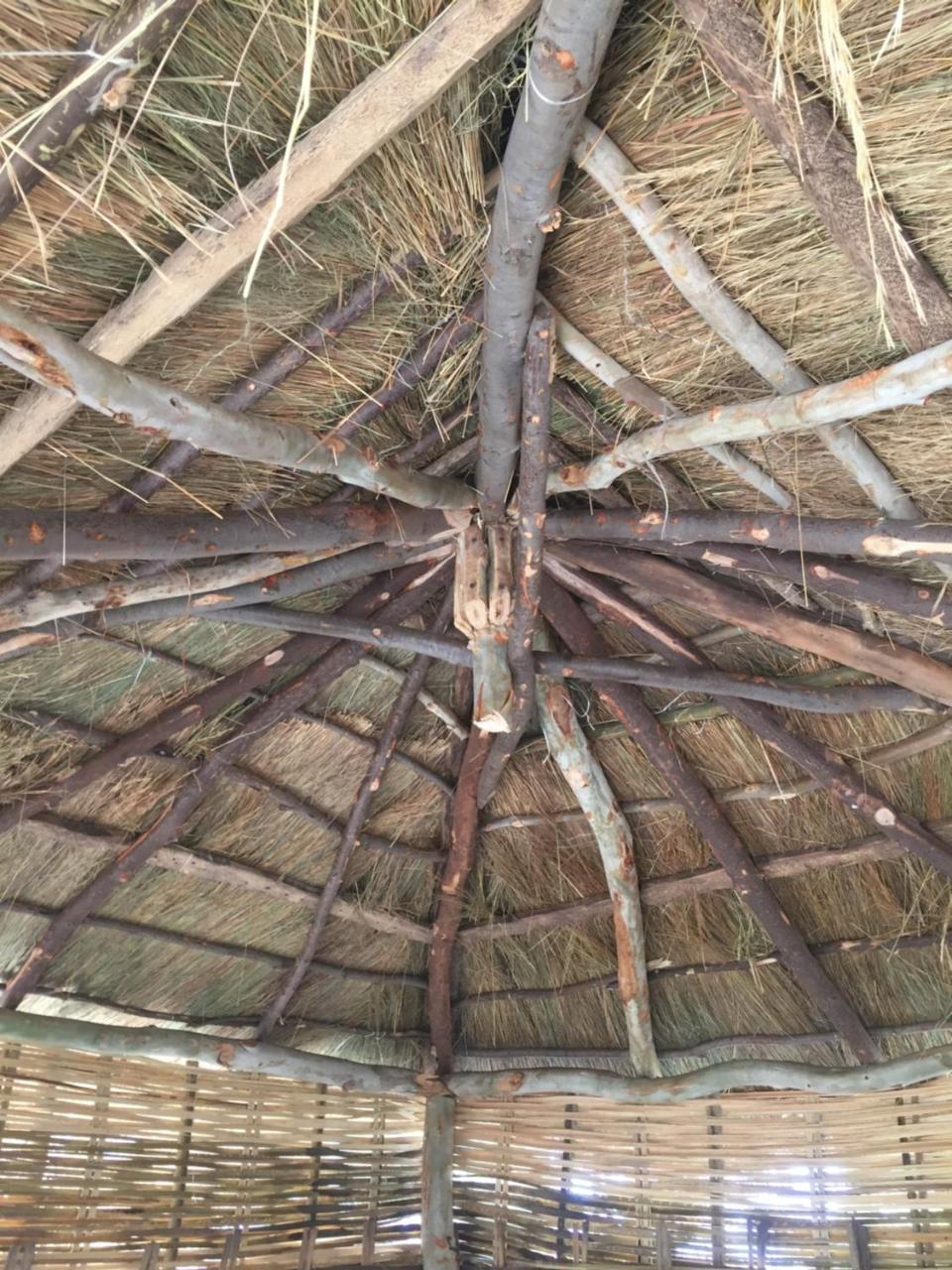 Chez Bethy & Baboulaye Jungle Et Ocean Villa Abémé Kültér fotó